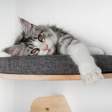 Translation missing: pt-PT.sections.featured_product.gallery_thumbnail_alt