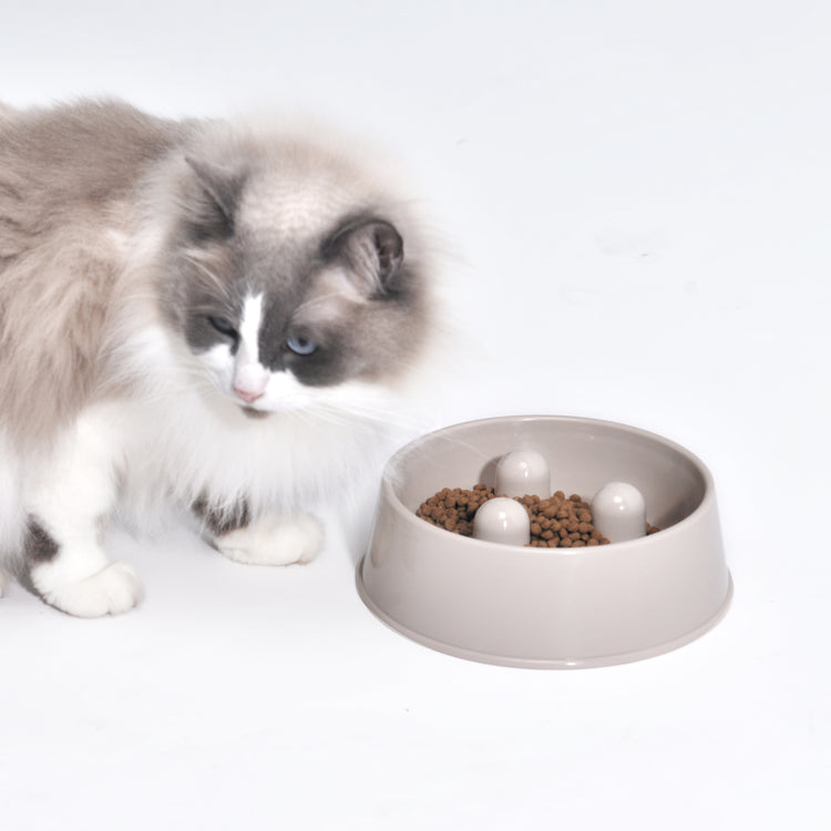 Slowfood Anti-Schrokbak Kat & Hond (Cappuccino) - Small Ø20cm
