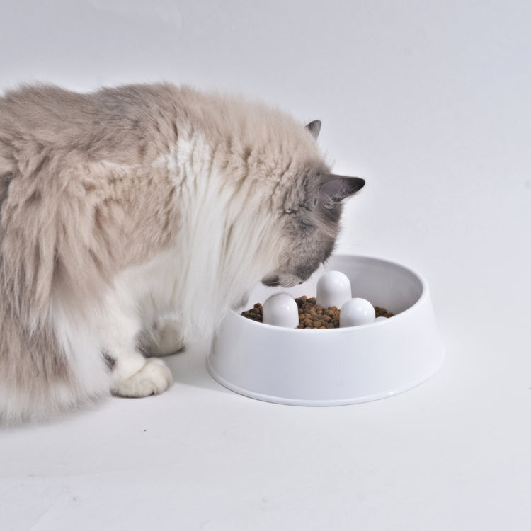 Slowfood Anti-Schrokbak Kat & Hond (Wit) - Small Ø20cm