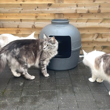 Translation missing: da.sections.featured_product.gallery_thumbnail_alt