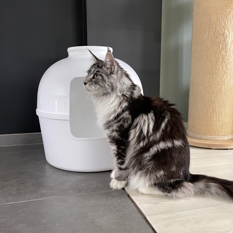 Kattenbak Flower XXL, verborgen kattentoilet (Wit)