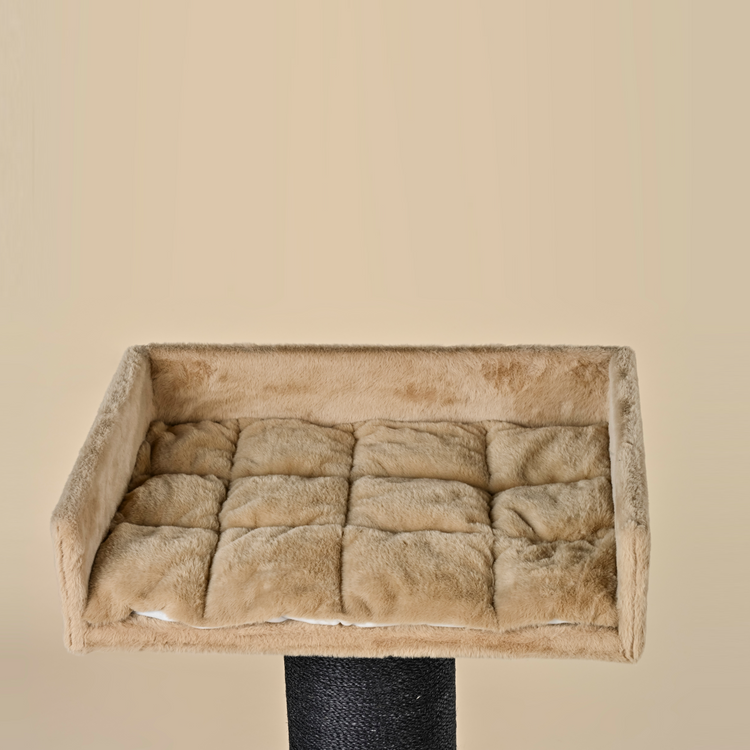 Krabpaal Maine Coon Lounge Blackline (Cappuccino Teddy)