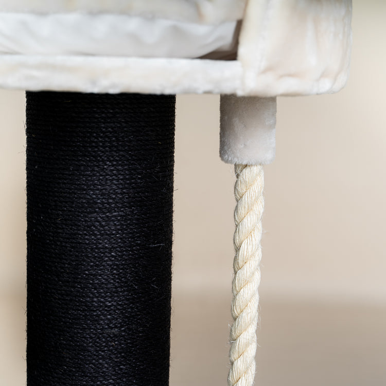 Krabpaal Chartreux Blackline (Crème)