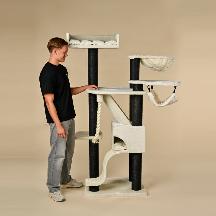 Krabpaal Kilimandjaro de Luxe Crown Blackline (Crème)