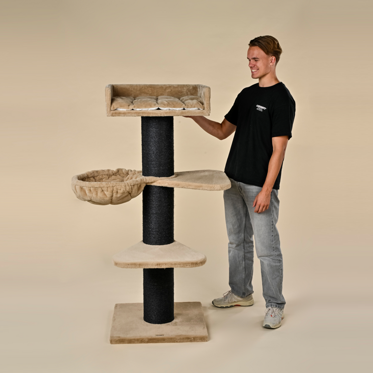 Krabpaal Royalty Plus Blackline (Cappuccino Teddy)