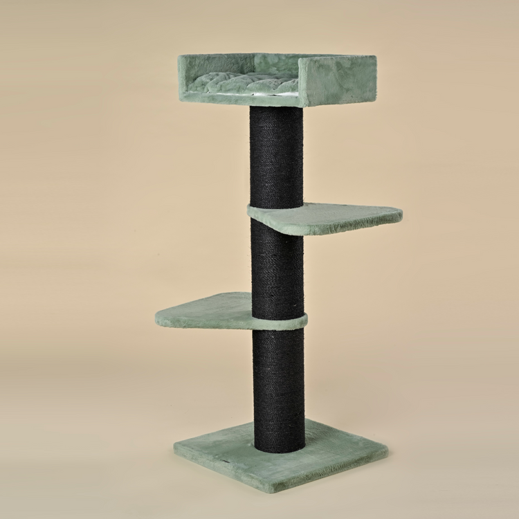 Krabpaal Royalty Blackline (Pistache Teddy)