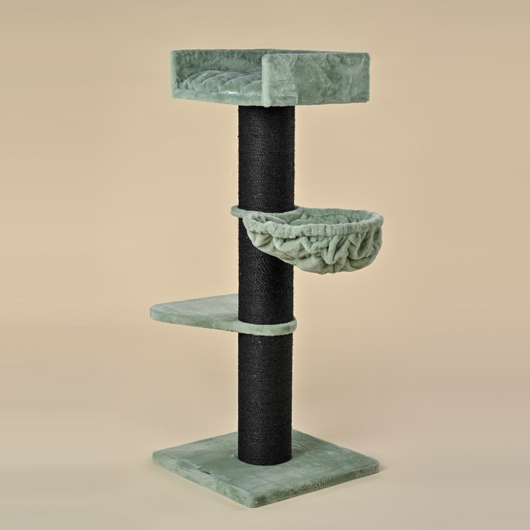 Krabpaal Royalty Blackline de Luxe (Pistache Teddy)