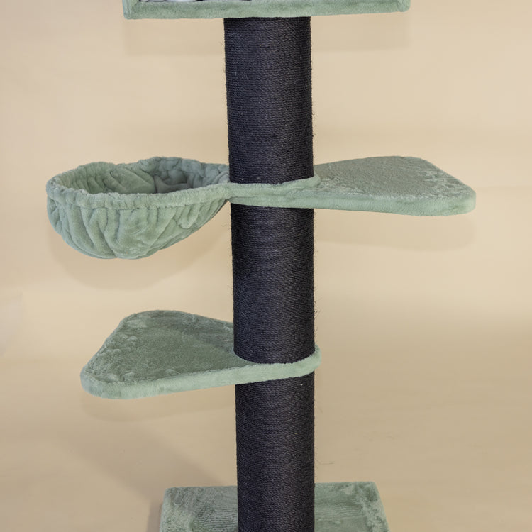 Krabpaal Royalty Blackline Plus (Pistache Teddy)