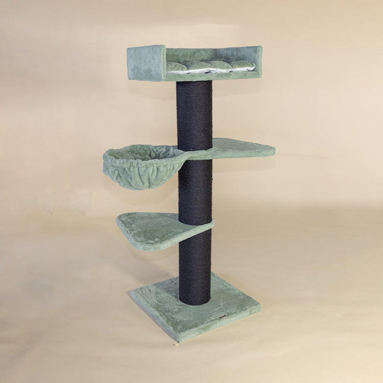 Krabpaal Royalty Blackline Plus (Pistache Teddy)