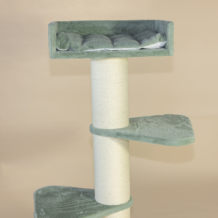 Krabpaal Royalty (Pistache Teddy)