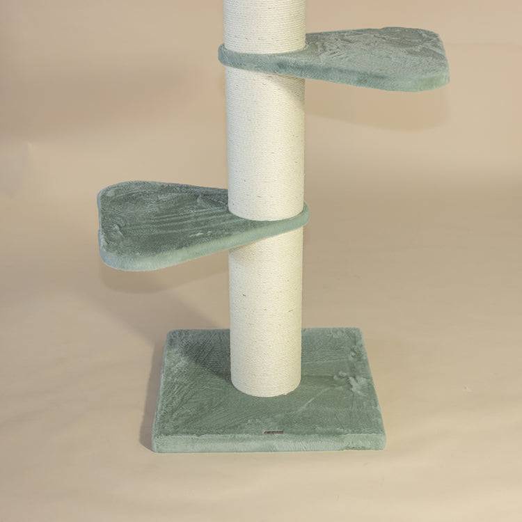 Krabpaal Royalty (Pistache Teddy)