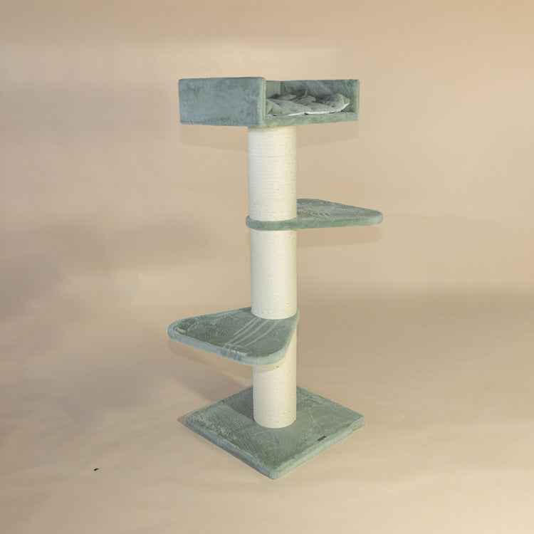 Krabpaal Royalty (Pistache Teddy)