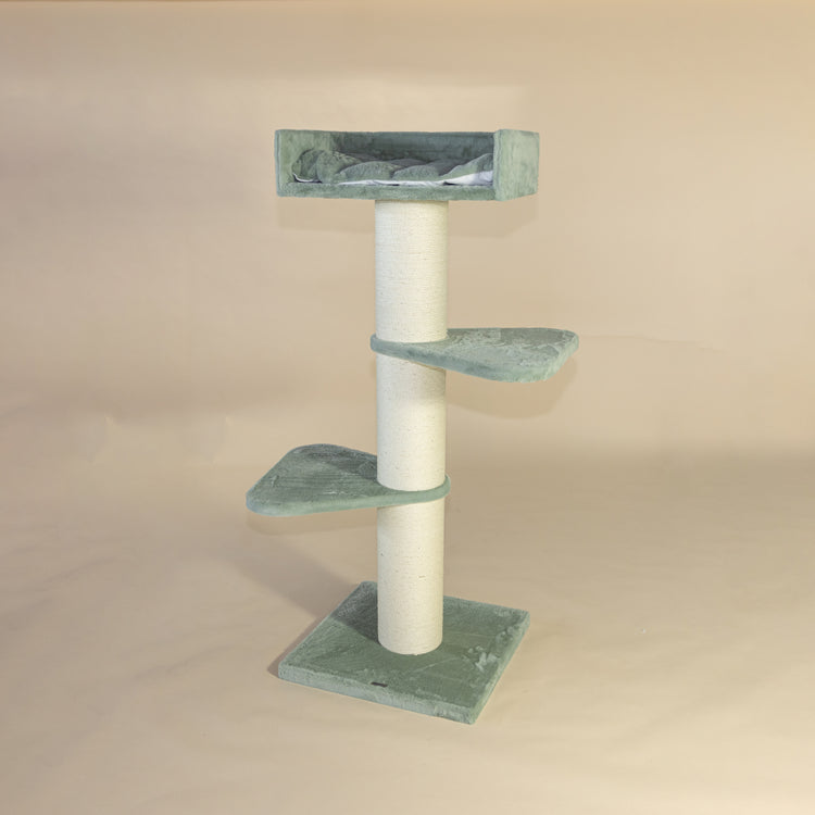 Krabpaal Royalty (Pistache Teddy)