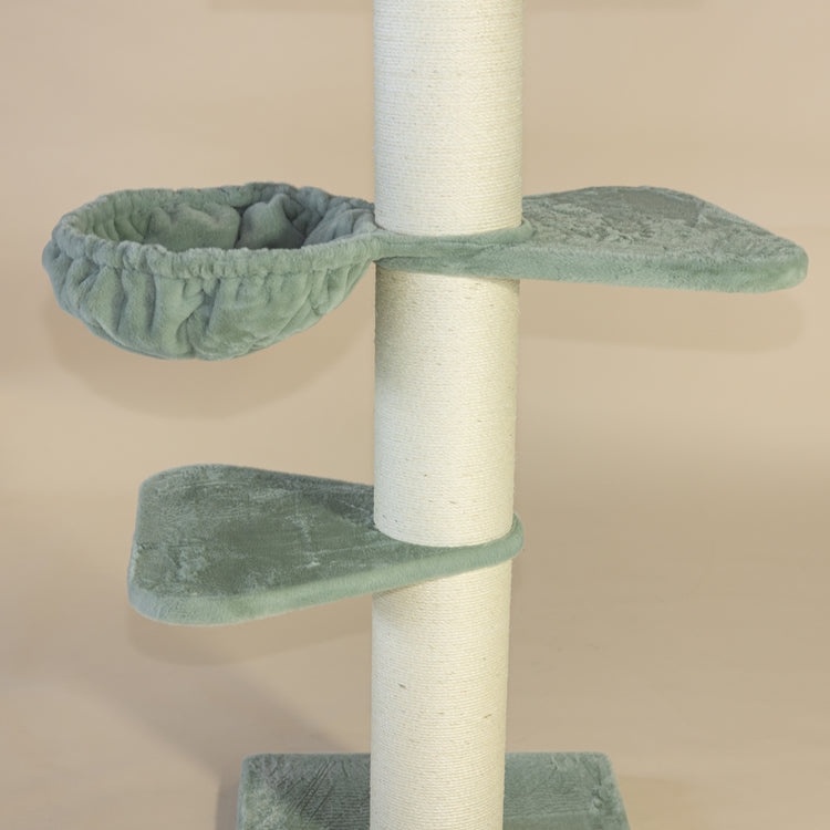 Krabpaal Royalty Plus (Pistache Teddy)