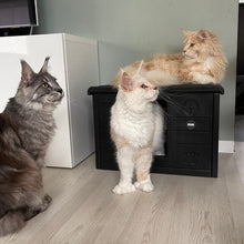 Translation missing: el.sections.featured_product.gallery_thumbnail_alt