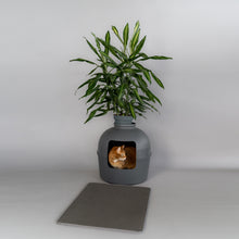 Translation missing: nl.sections.featured_product.gallery_thumbnail_alt