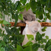 Translation missing: cs.sections.featured_product.gallery_thumbnail_alt