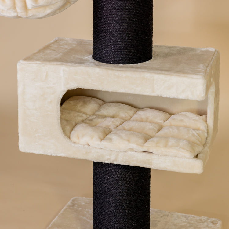 Royalty Retreat Blackline (Crème)