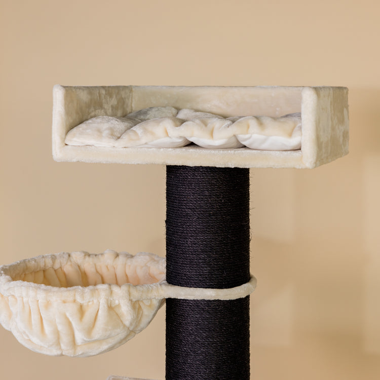 Royalty Retreat Blackline (Crème)