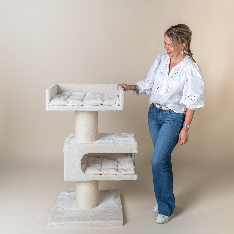 Maine Coon Lounge Retreat (Crème)