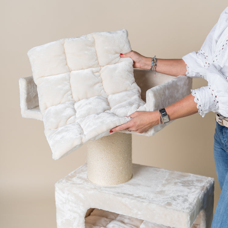 Maine Coon Lounge Retreat (Crème)