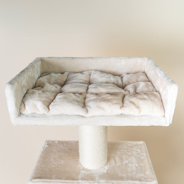 Maine Coon Lounge Retreat (Crème)