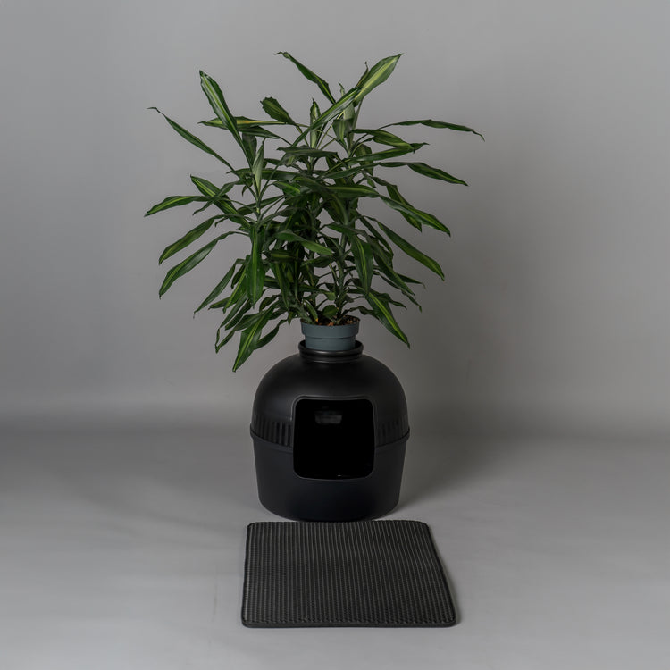 Kattenbak Flower XXL, verborgen kattentoilet (Blackline)