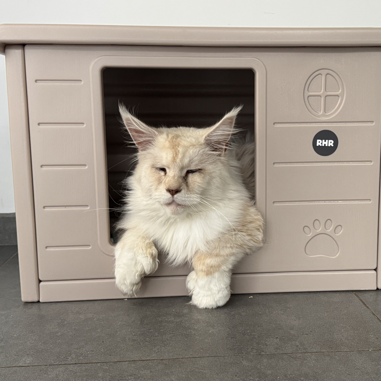 Kattenhuis Villa de Luxe voor binnen en buiten (Cappuccino)