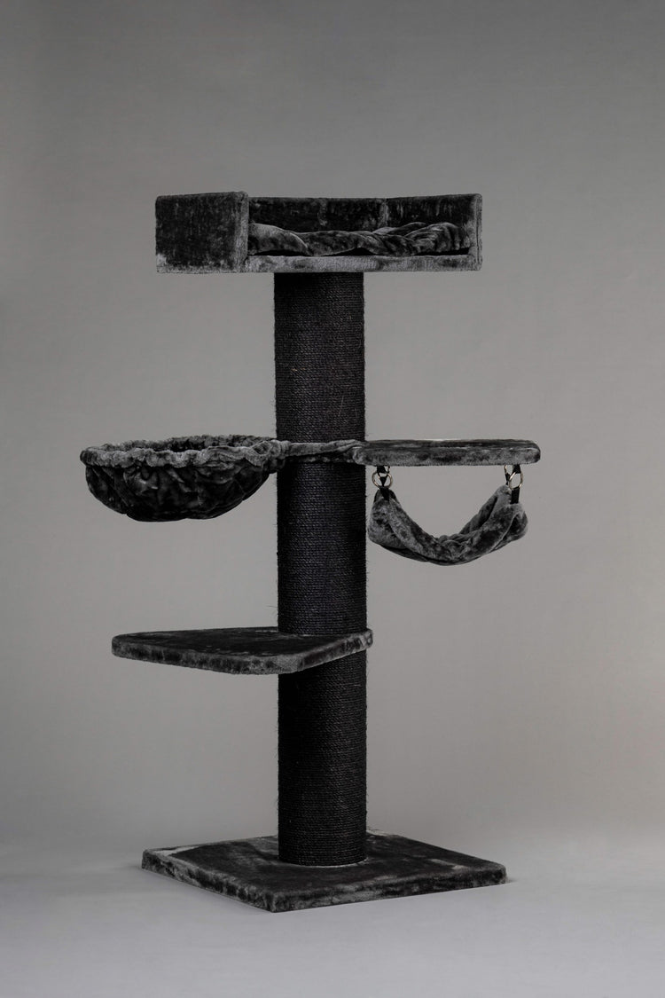 Krabpaal Royalty Blackline Crown Plus (Donkergrijs)