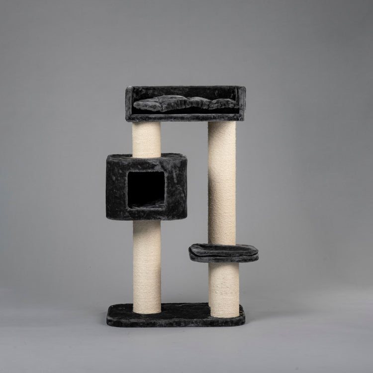 Krabpaal Devon Rex (Donkergrijs)