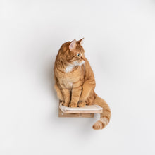 Translation missing: pt-PT.sections.featured_product.gallery_thumbnail_alt