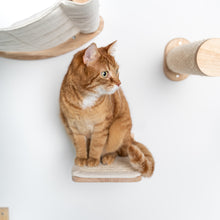 Translation missing: pt-PT.sections.featured_product.gallery_thumbnail_alt