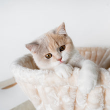 Translation missing: pt-PT.sections.featured_product.gallery_thumbnail_alt