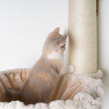 Translation missing: pt-PT.sections.featured_product.gallery_thumbnail_alt