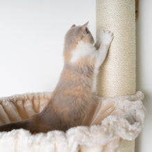 Translation missing: pt-PT.sections.featured_product.gallery_thumbnail_alt