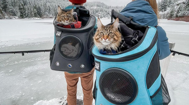 rhrpets_nl_blog_info_ervaringen_maine_coon_1