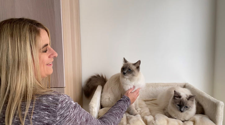 blog_rhr_pets_nl_ragdoll_leven_met_ragdolls_1