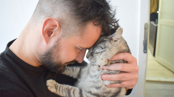 Cat dads: Van ‘Ik hoef geen kat’ naar stille maatjes