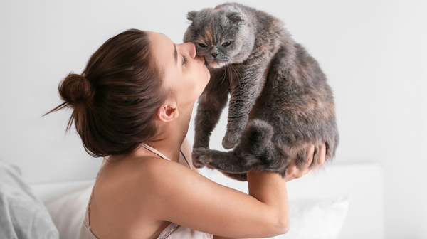 Terug van vakantie? Hier heb je 3 stappen om jouw kat te helpen wennen aan jouw ritme