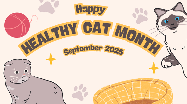 Het is weer zover: het is Happy Healthy Cat Month
