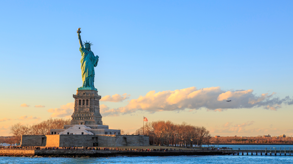 Katten mee naar New York