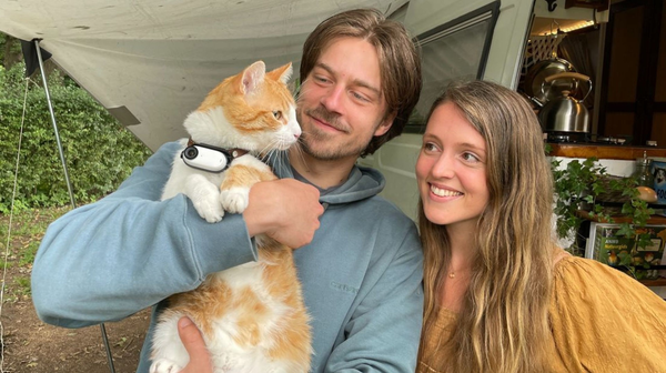 Ros de camerakat: een kijkje in z'n dagelijkse leven