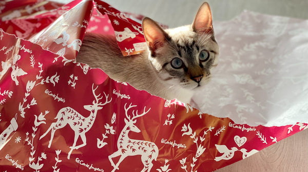 blog_rhr_pets_NL_cadeau_tips_kattenliefhebbers_1