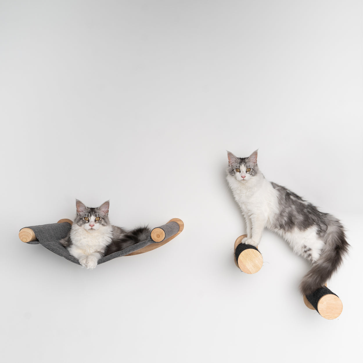 Everest Blackline Grijs | Kattenmuur Klim- en wandsysteem set van RHR Pets