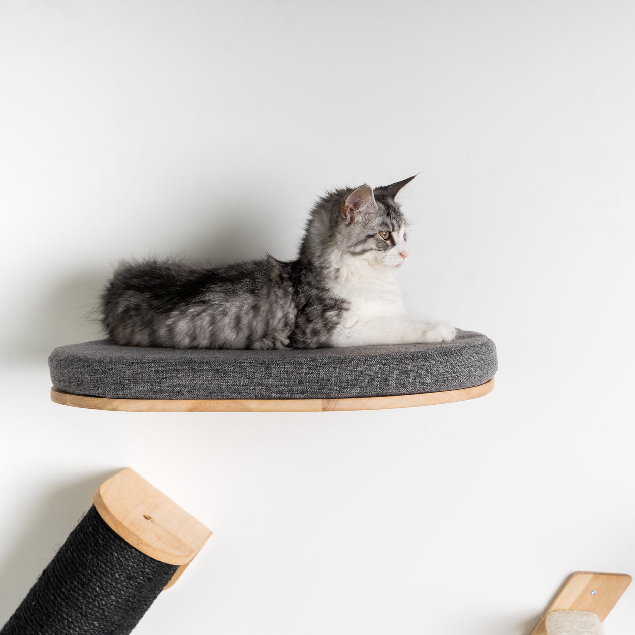Everest Blackline Grijs | Kattenmuur Klim- en wandsysteem set van RHR Pets