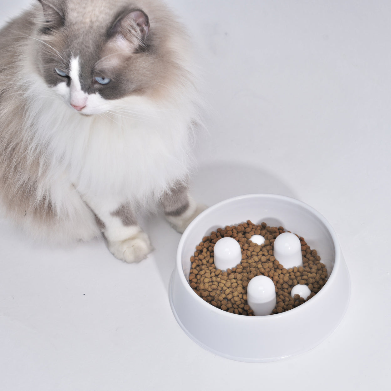 Slowfood Anti-Schrokbak Kat & Hond (Wit) - Small Ø20cm