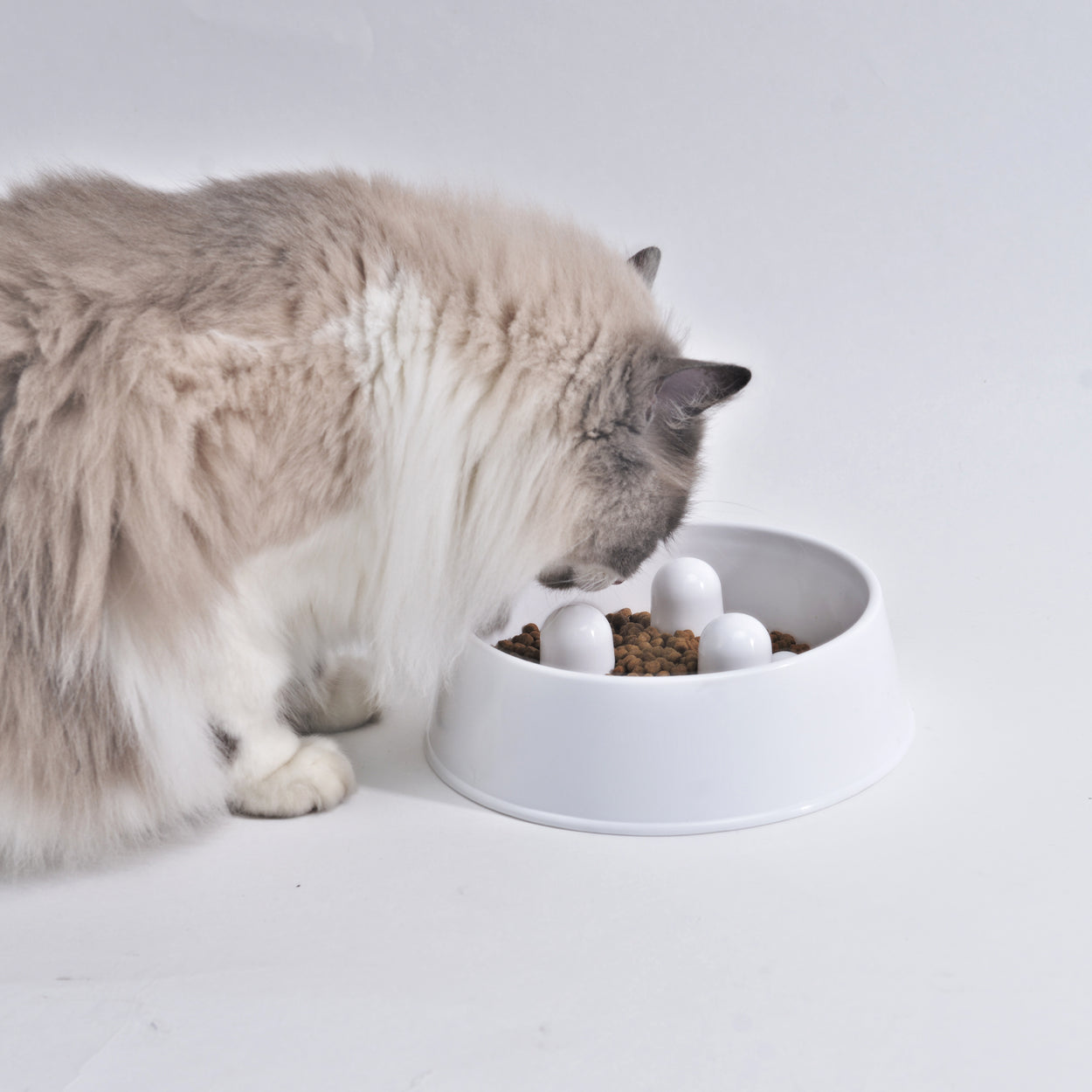 Slowfood Anti-Schrokbak Kat & Hond (Wit) - Small Ø20cm
