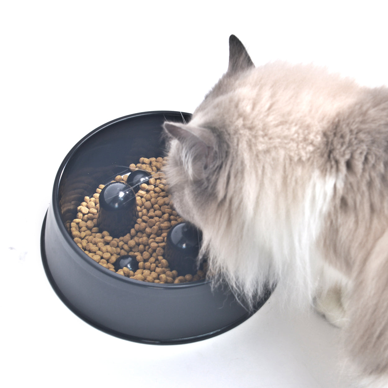 Voerbak Hond - Anti Schrokbak Kat - Voerbak - 1 - Paars Voerbak Hond - Anti Schrokbak Kat - Voerbak - 1 - Paars