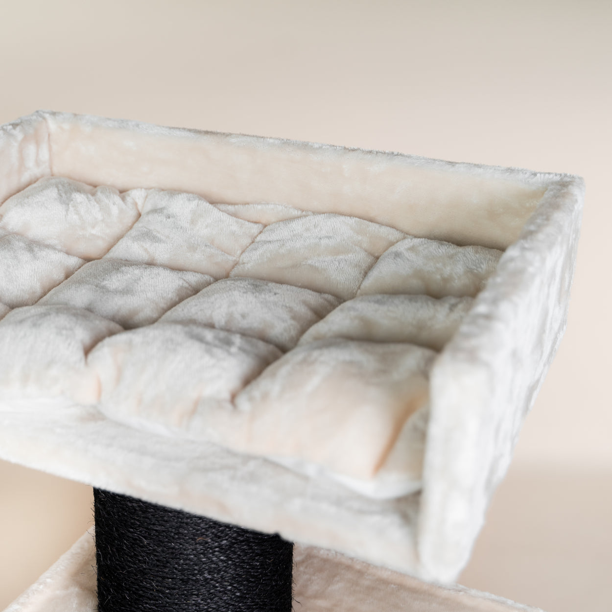 Maine Coon Lounge Retreat Blackline (Crème)