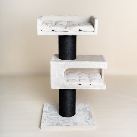 Maine Coon Lounge Retreat Blackline (Crème)